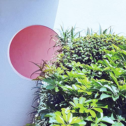 the album art for sayonara ponytail's 2020 online-exclusive single, shion